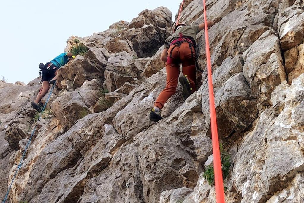 La Barberia De Miguel Villa El Chorro Dış mekan fotoğraf